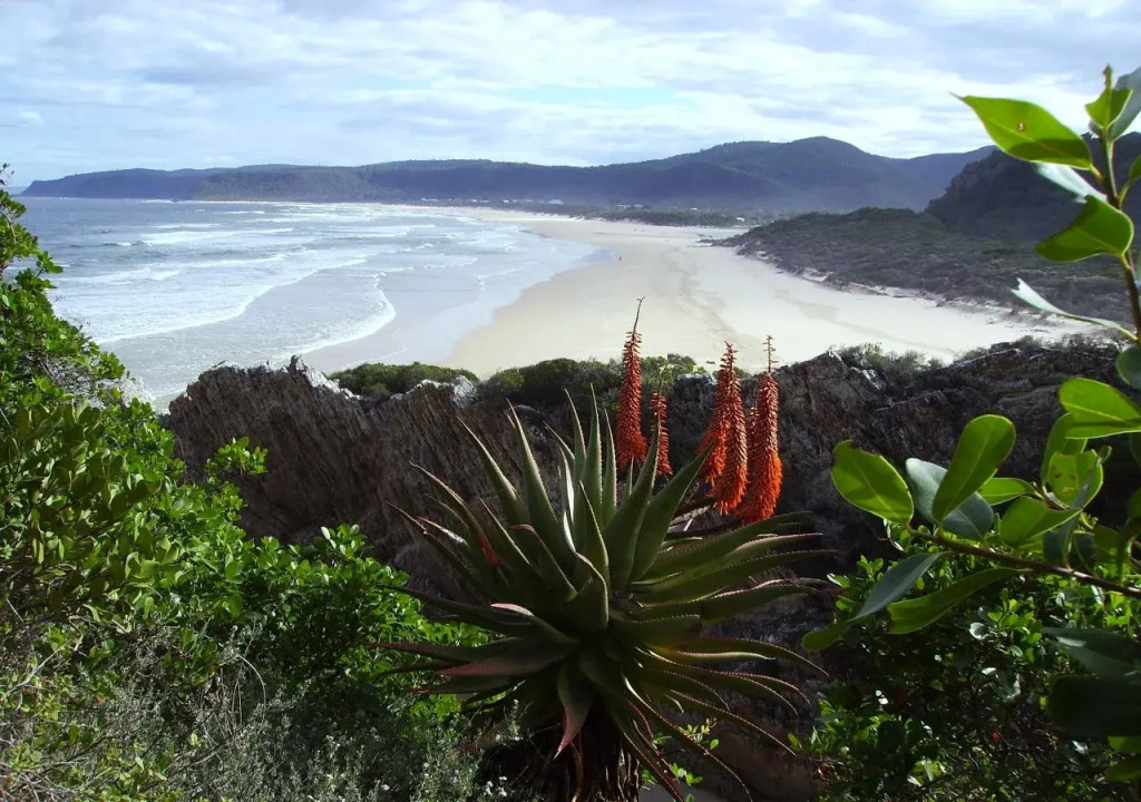 Storms River Guest Lodge