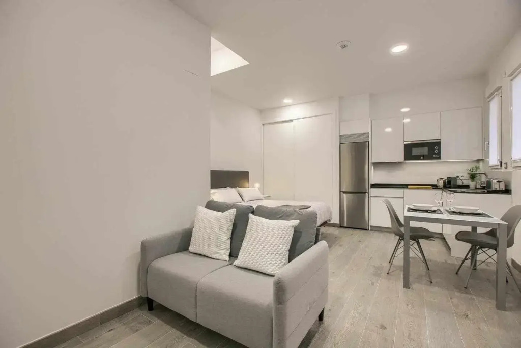 RiNa MADRID apartamento 2