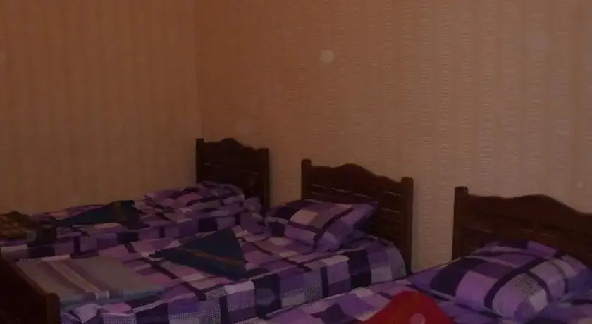 Olga Hostel