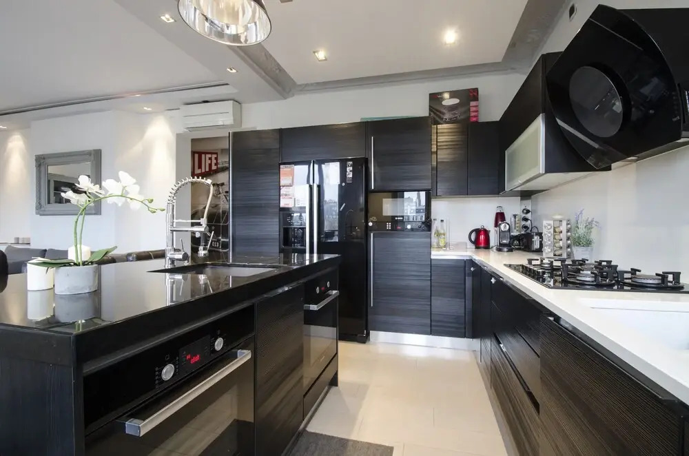 Luxury Apartment in Paris-Champs Elysées