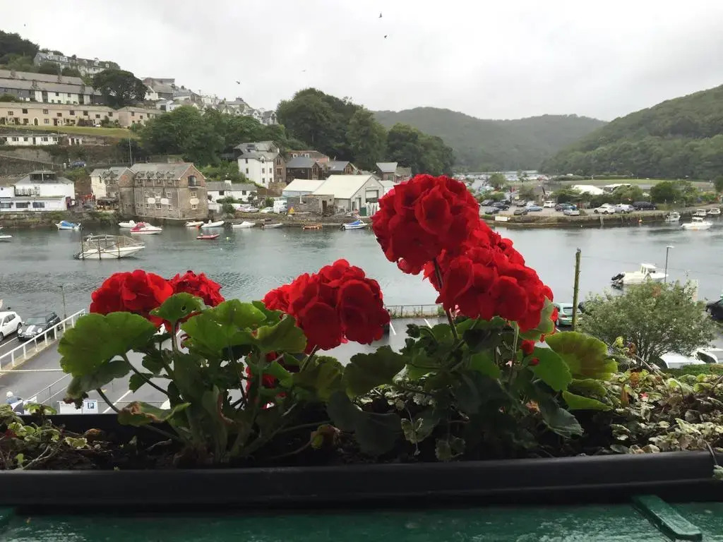Dolphin Guest House