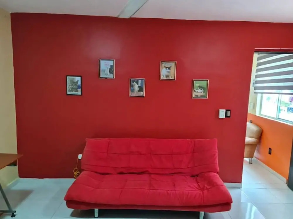 Excellent Apartment in Altaomico Floor and Equipped ac, Wifi, Tv