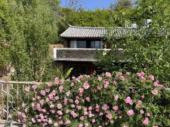 Up Air Guest house