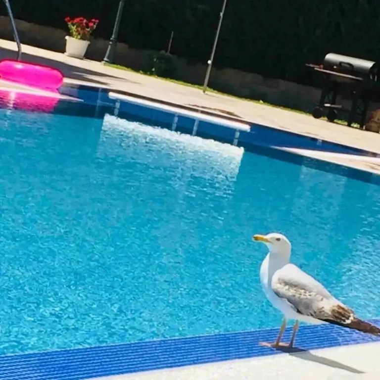 Luxury Apartment in Balkan Breeze 7 in Sunny Beach