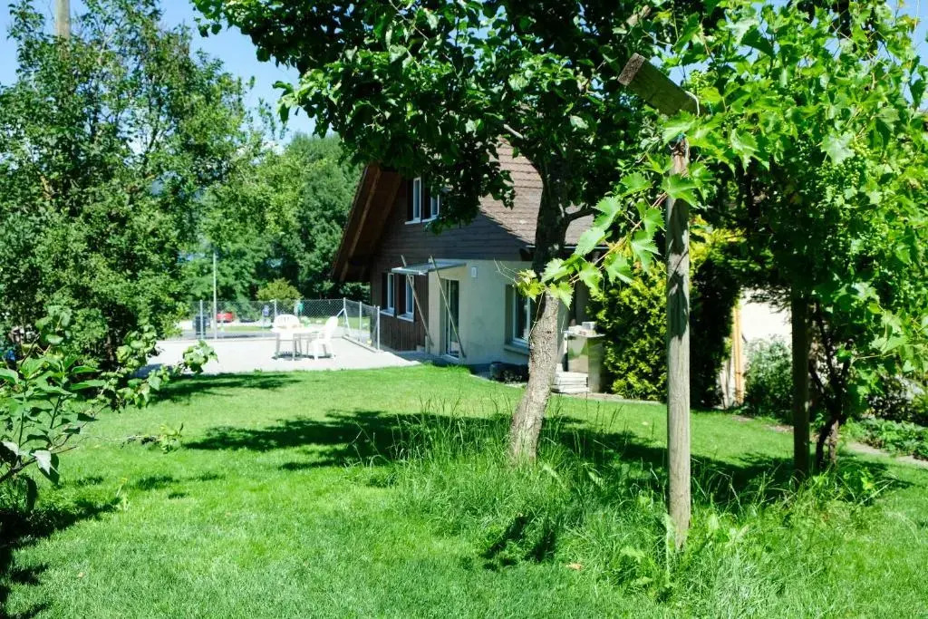 Hauswurz