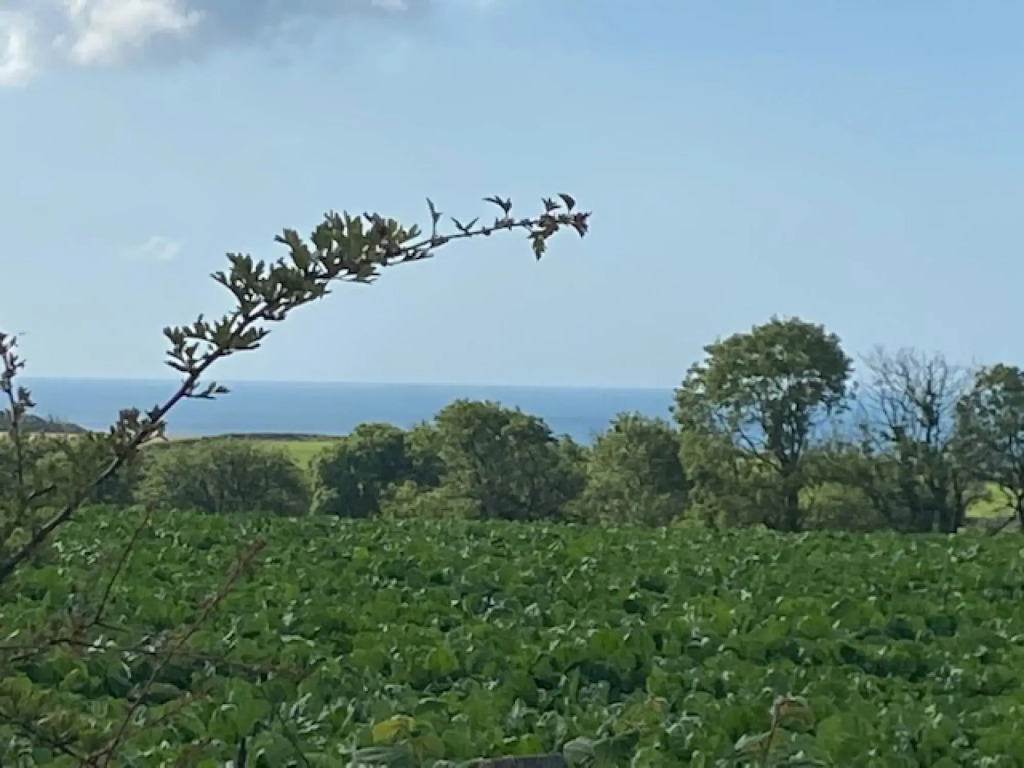 Elidyr Cottage - 3 Bed Cottage - Amroth