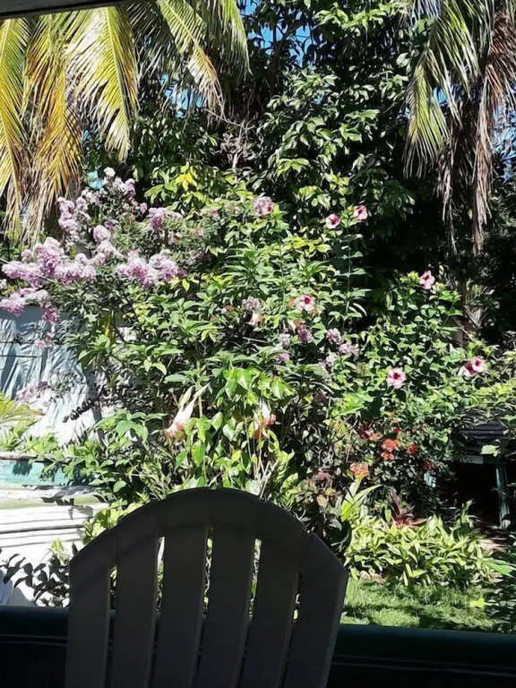 Powell's Guesthouse
