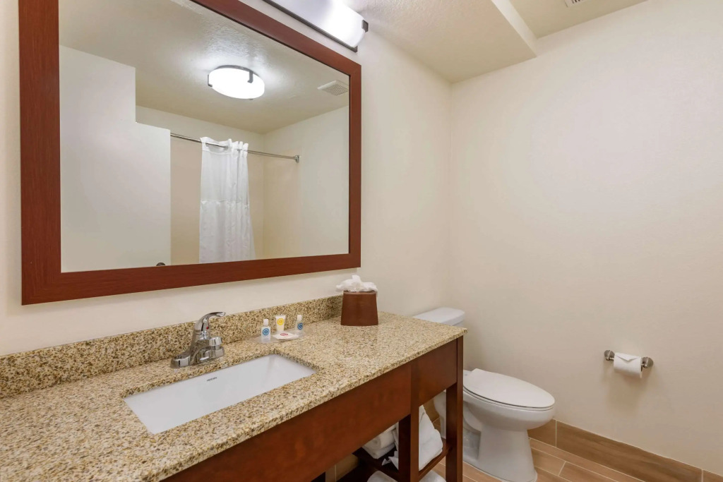 Comfort Suites Downtown