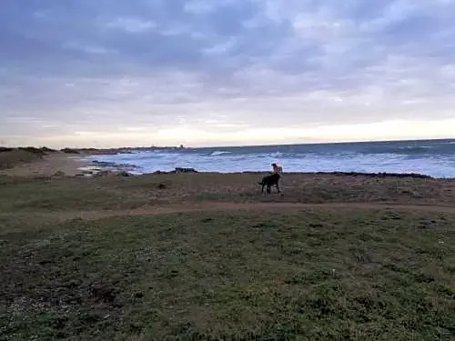 La Gemma del Sud