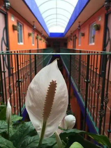 Hotel La Cabaña