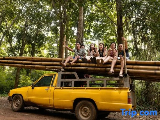 3 Pok Maewang jinxiang Gold elephant park
