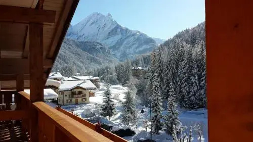 Hotel Engel