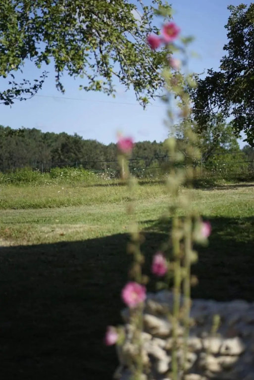 Mabelle Reve B&B (Adults Only)
