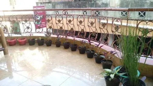 Grapyak Homestay Syariah