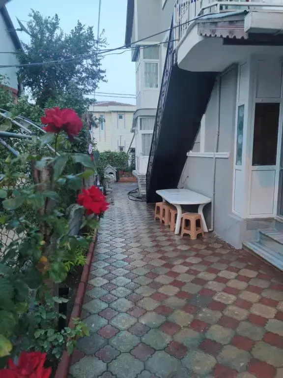 Senem Villa