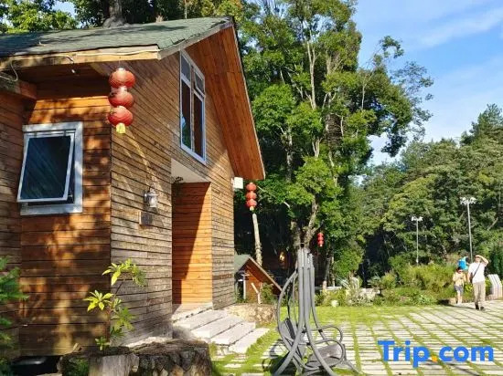 Yinxin'gu Treehouse Hotel