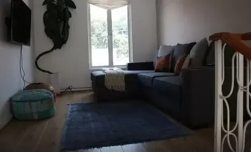 New High Style Sauna And Patio