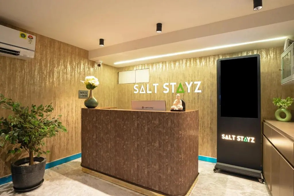 Saltstayz Premier - Naraina, Central Delhi