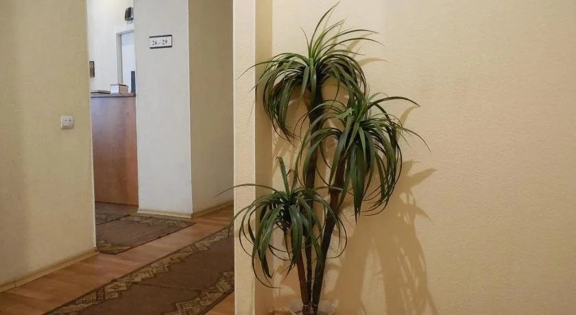 Elizabeths Youth Hostel