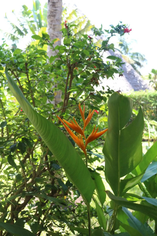 Villa Madinina