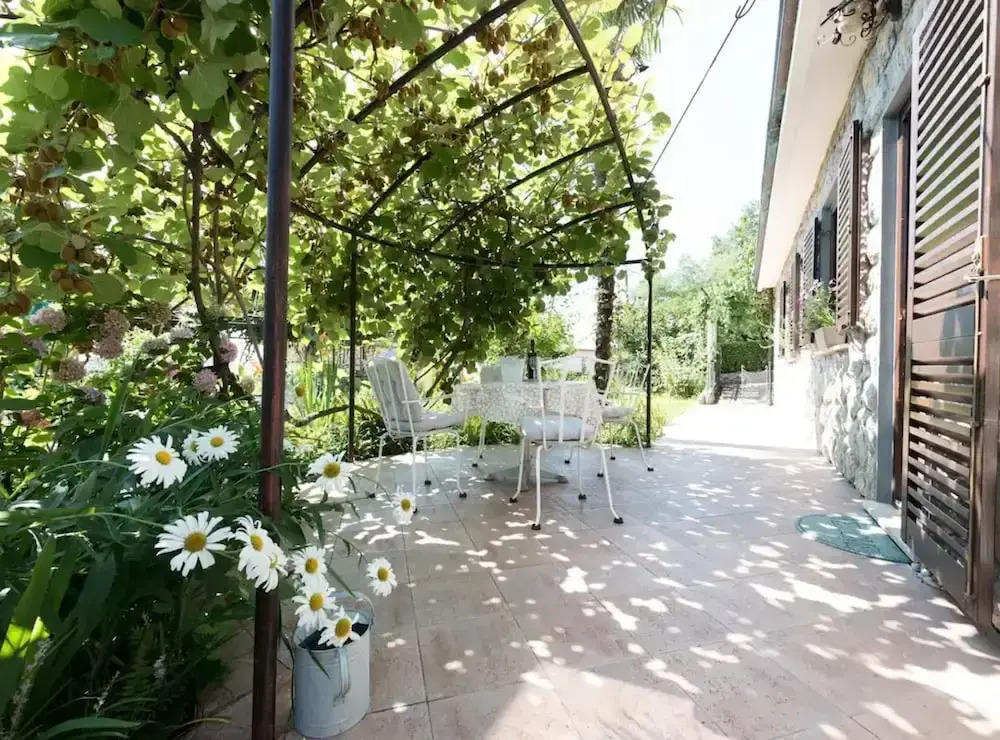 Green Garden Oasis