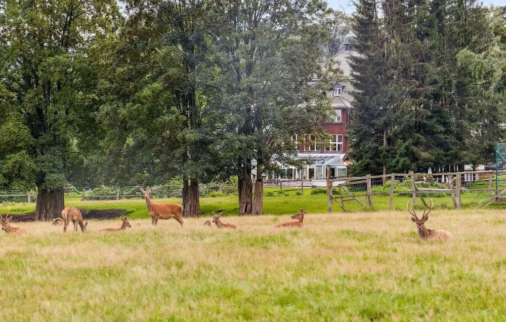 Schones Ferienhaus Direkt am Schwarzwildgehege