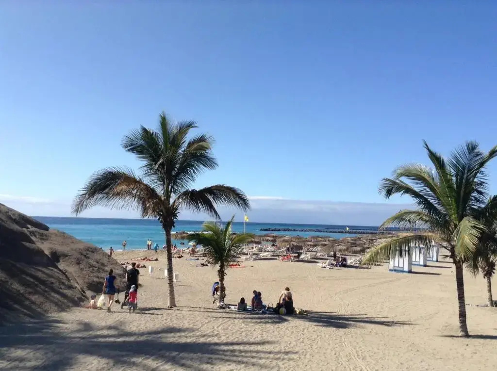 NEW Beautiful Apartment!Beaches nearby!Ocean view