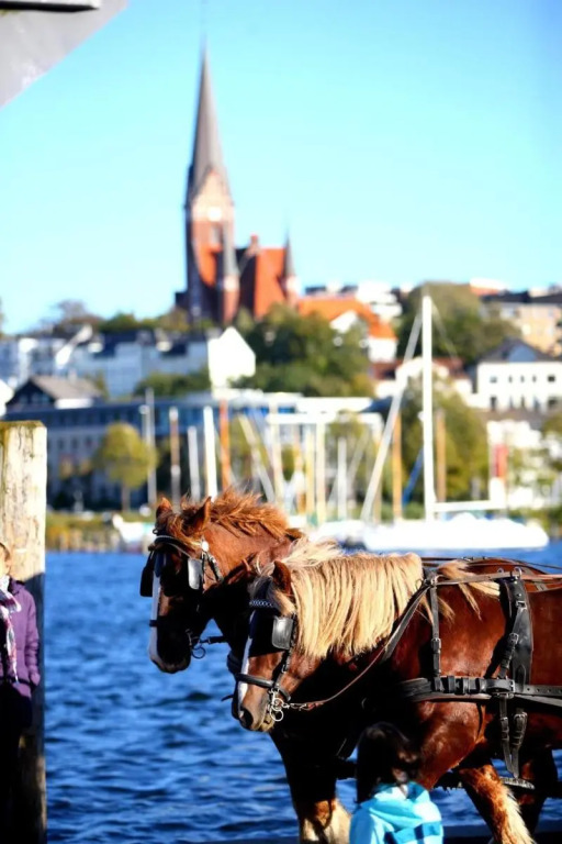 Hotel am Fjord