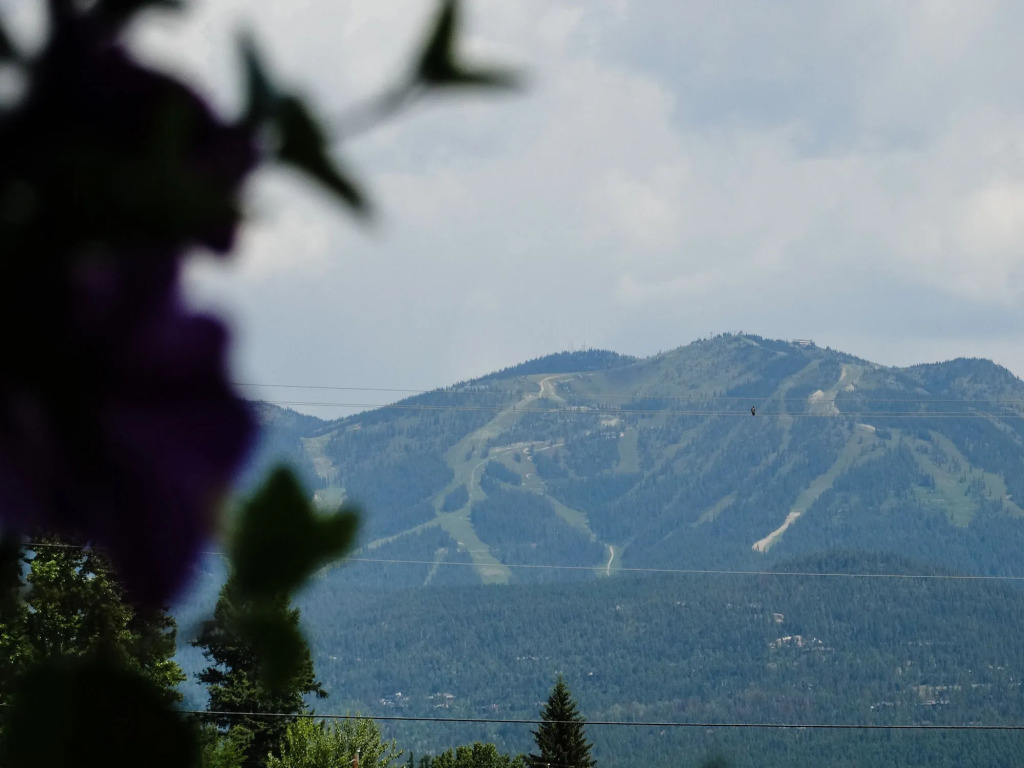 Chalet Motel Whitefish