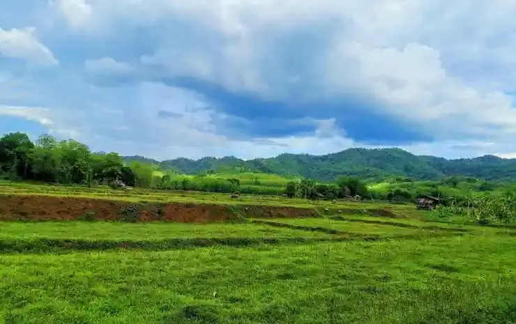 Mint Organic Farm Stay, Wangchin,Phrae