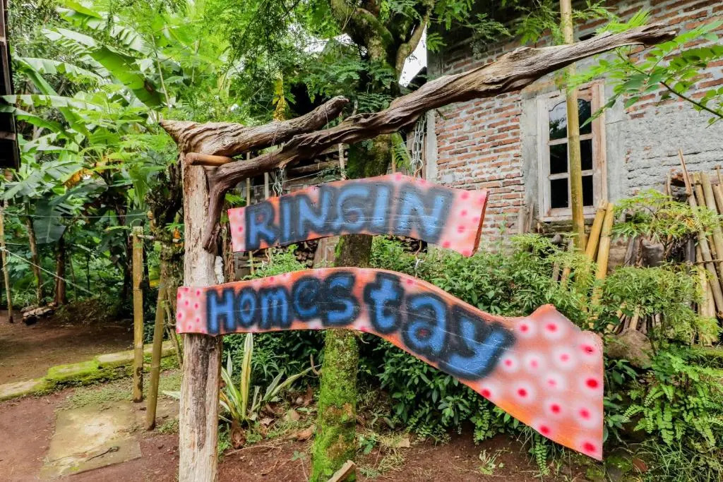 Ringin Guesthouse