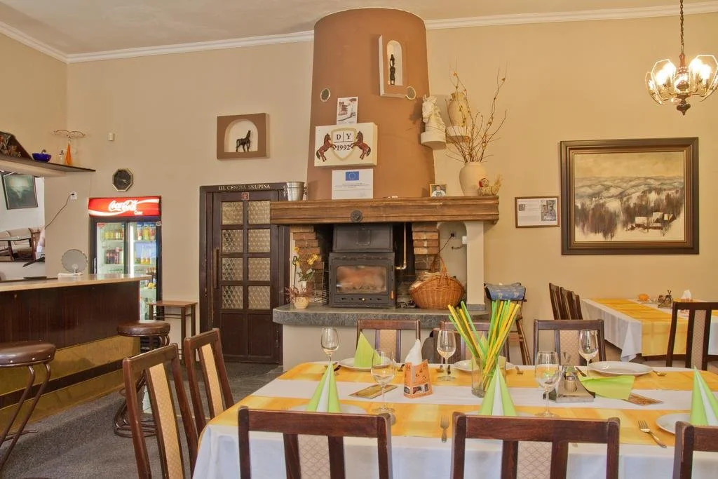 Hotel Konik