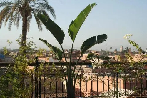 Riad Perle du Sud