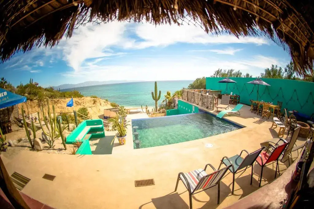 Palapas Ventana
