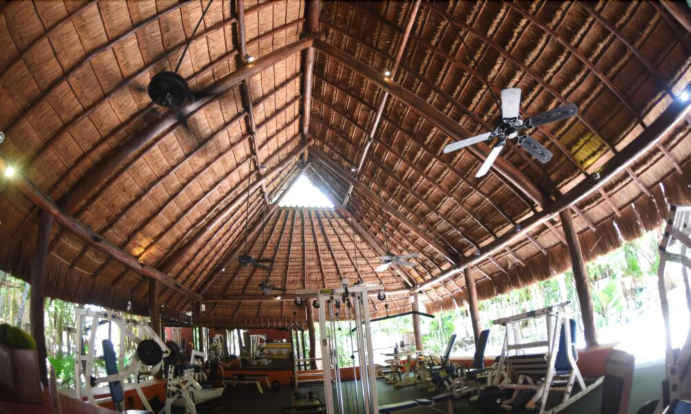 Tropical Location Riviera Maya