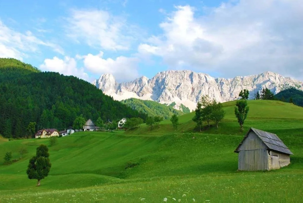 Gasthaus Stefaner