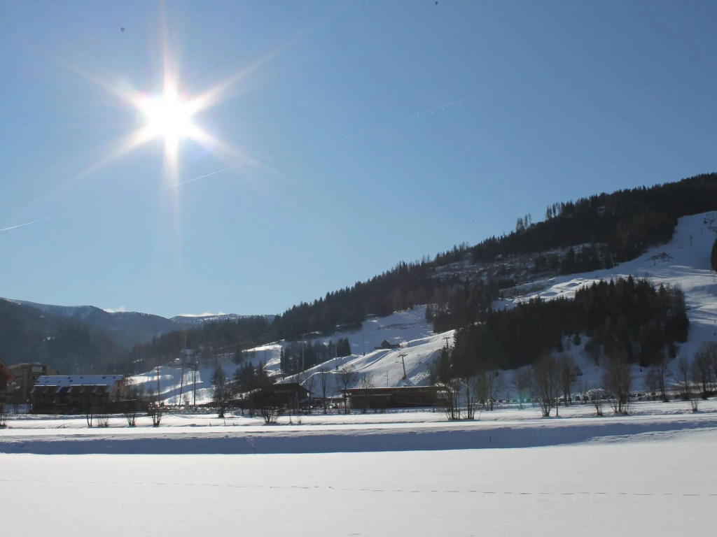 Charming family apartment in Styria