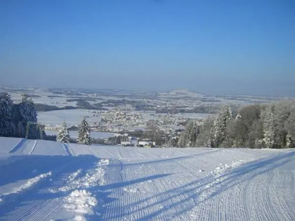Berghof Dachsteinblick