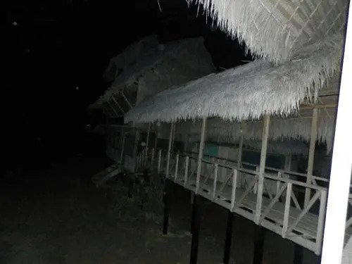 Amazon Eco Tours & Lodge