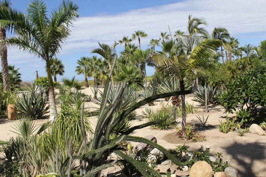 La Poza Boutique Hotel & Spa - Adults Only