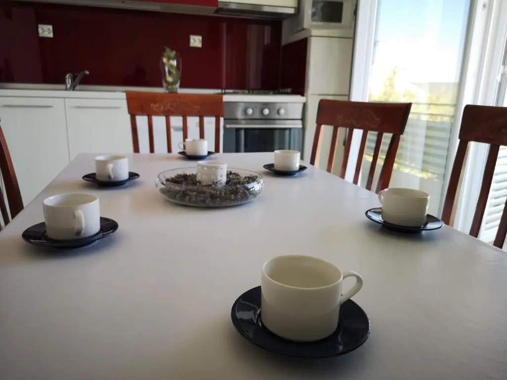 Apartment Marica