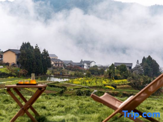 Yuezhu｜Peak Clouds & Arcadian Courtyard.Avatar Mountains ,3-min walk to the  Zhangjiajie Forest Park