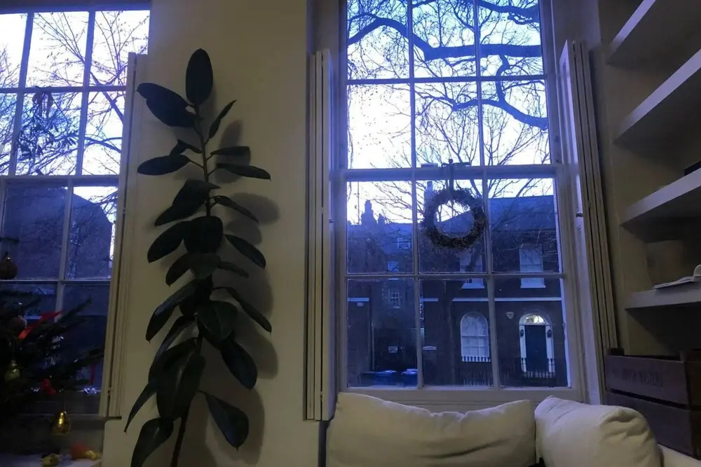Cozy 1 Bedroom Flat in Camberwell