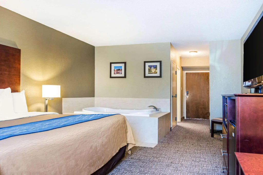 Comfort Inn Atlanta Downtown South