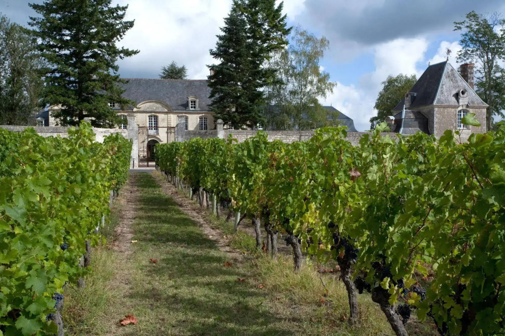 Chateau de La Platerye