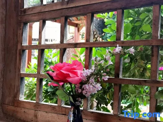 Xiaohai Bieyuan Homestay
