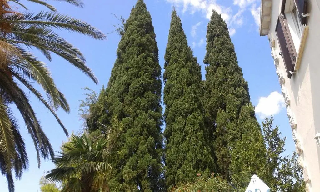 Villa Tiha