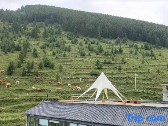 Lux Hotel · Yunju Hotel  in Mingzhai, Wutai Mountain