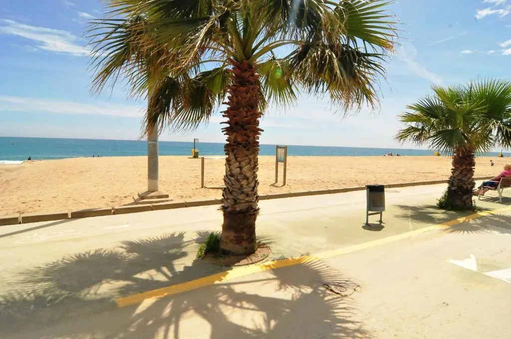 HomeHolidaysRentals Atico Ocean