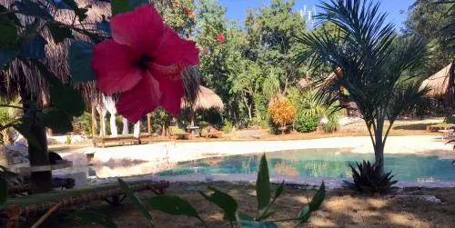 Villa Morena Boutique Hotel Ecoliving